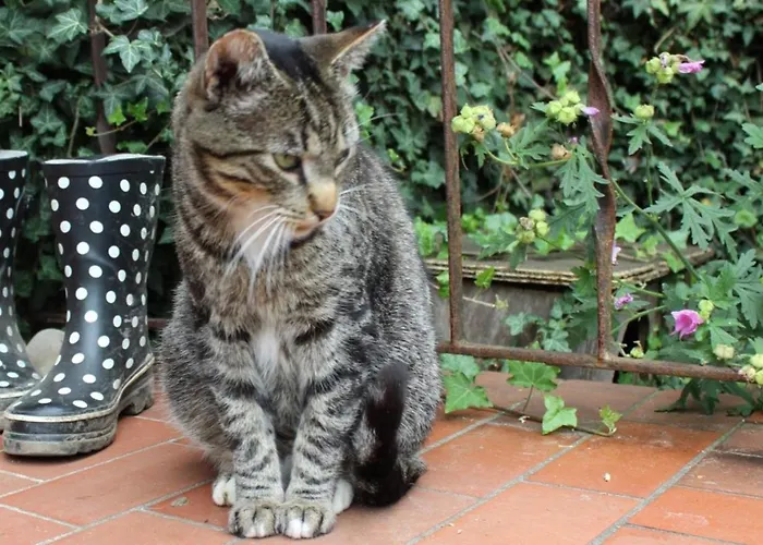 Apartamento Gaarwang