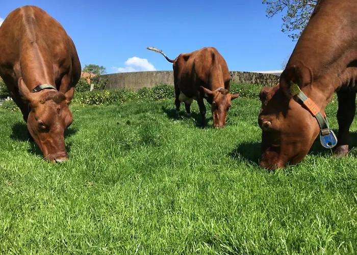 Gaarwang Apartamento